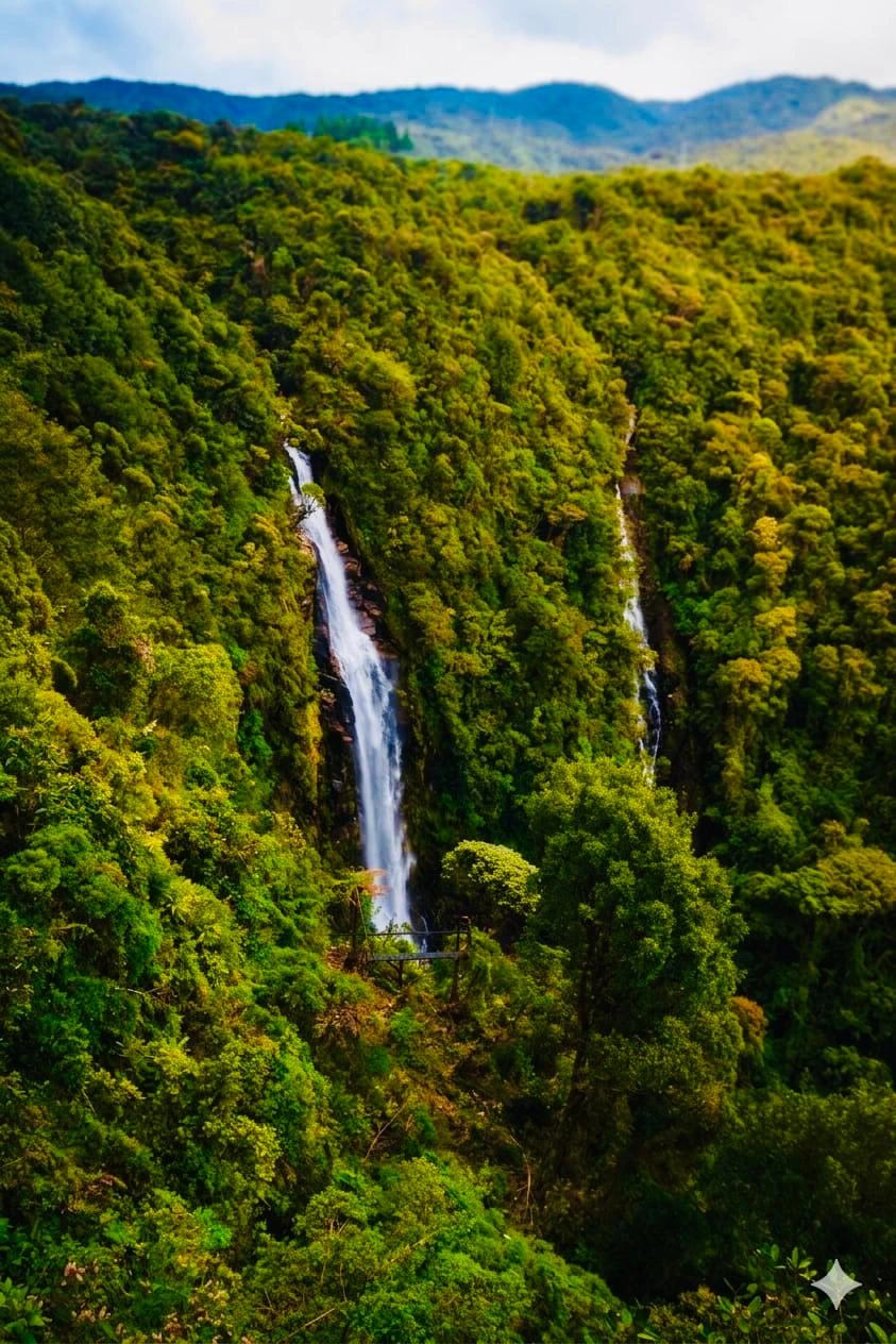 Senderismo por la Cascada del Oso