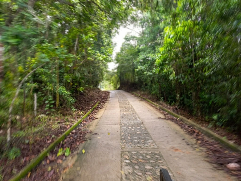 Finca el Vergel