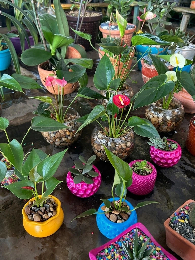 Vivero Cristian